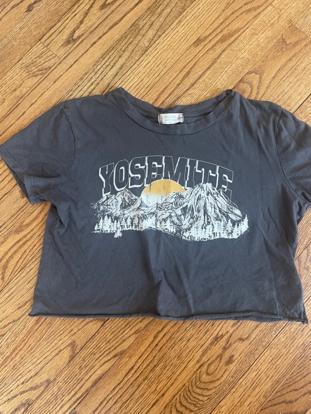 Altar'd State Cropped Yosemite Graphic Tee - Gray & Yellow